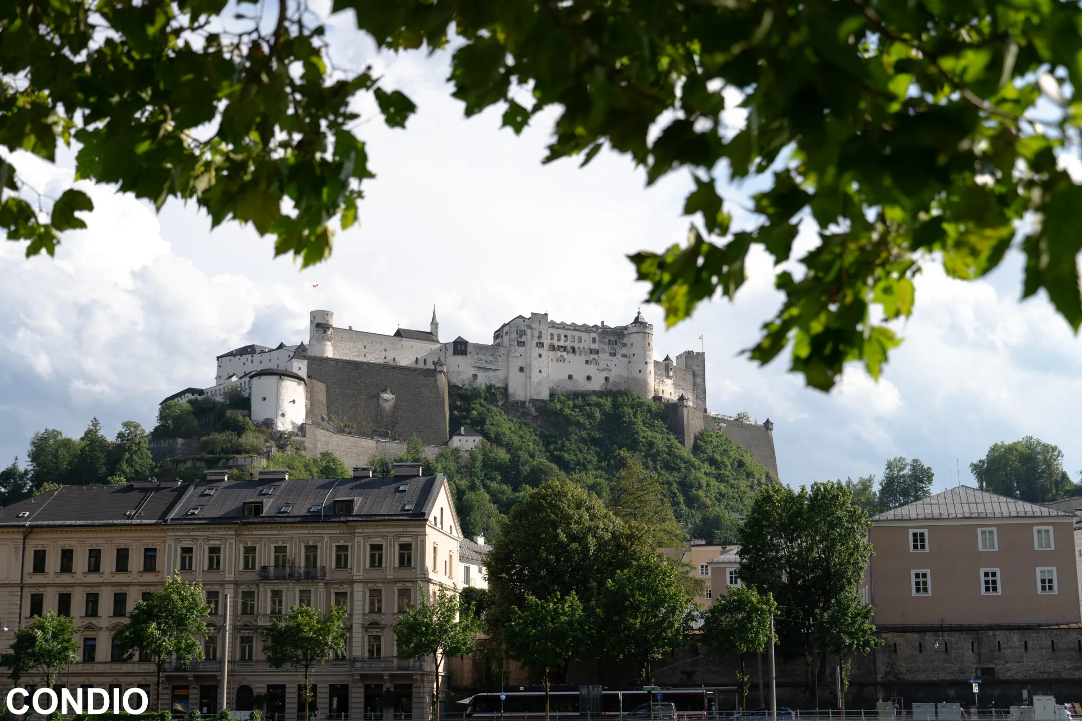Germany & Austria